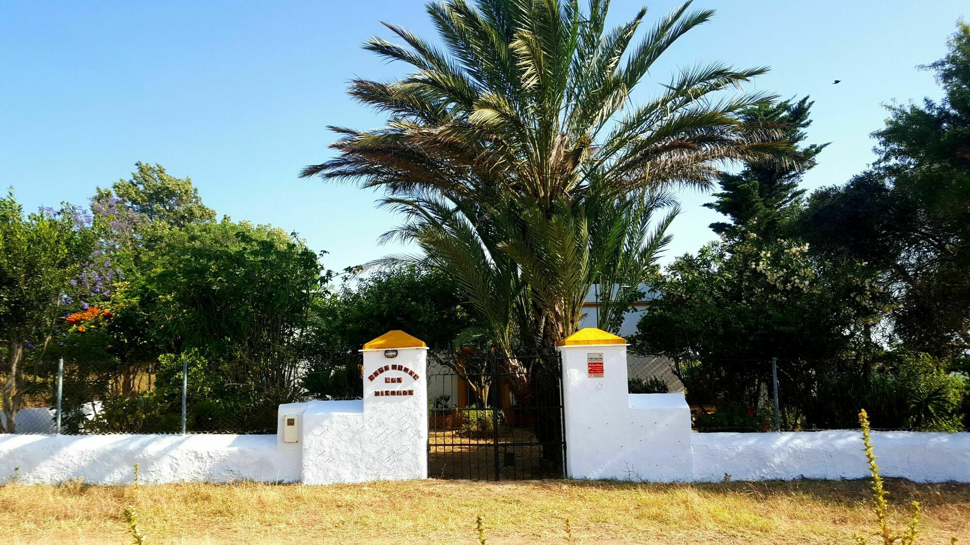 Casa Rural Finca Los Hierros Vejer de la Frontera Exterior photo