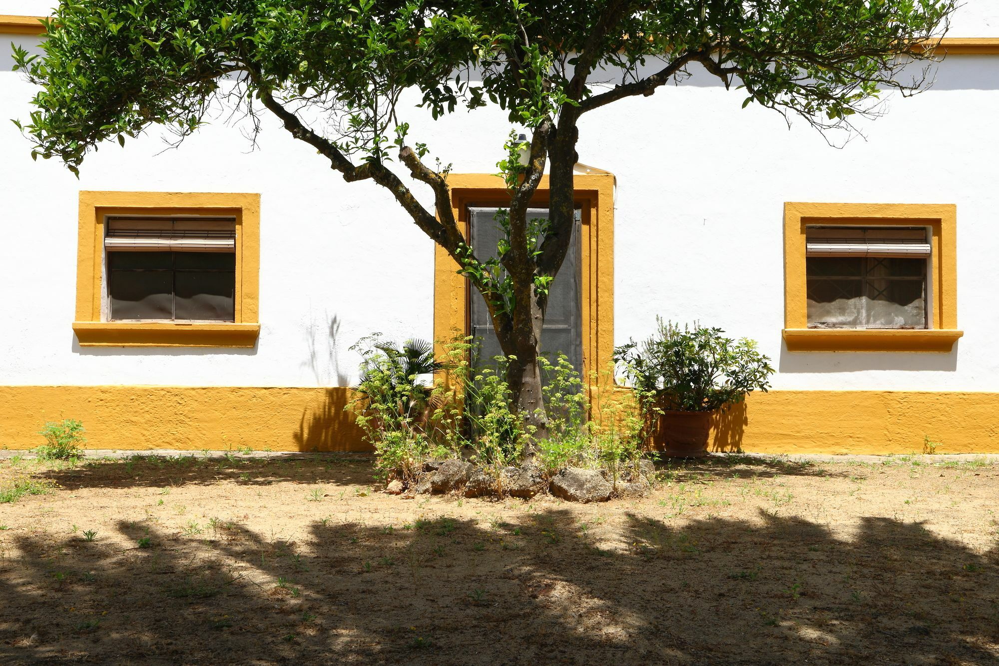 Casa Rural Finca Los Hierros Vejer de la Frontera Exterior photo